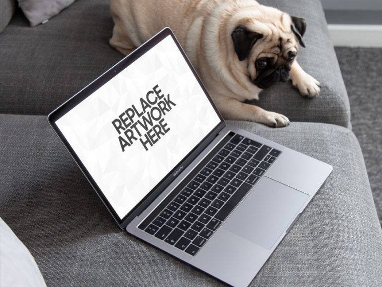macbook with pet Archives Mockup Love